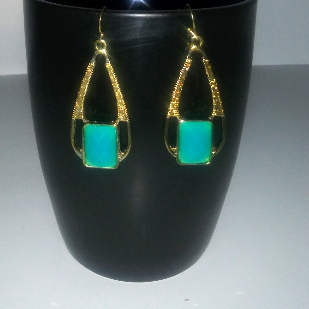 Costume drop pierced Earrings.